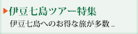 伊豆七島ツアー