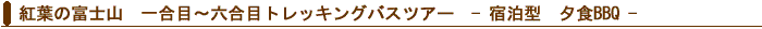 富士五合目バスツアー