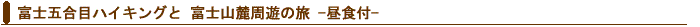 富士五合目バスツアー