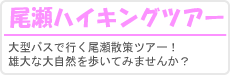 尾瀬ツアー
