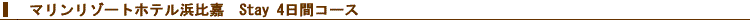 �}�������]�[�g�z�e���l���4���ԃR�[�X