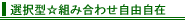 �`���C�X�v����
