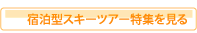 宿泊型スキーツアー