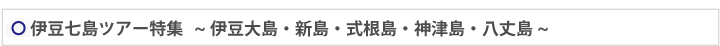 伊豆七島ツアータイトル