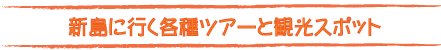 新島に行く各種ツアーと観光スポット