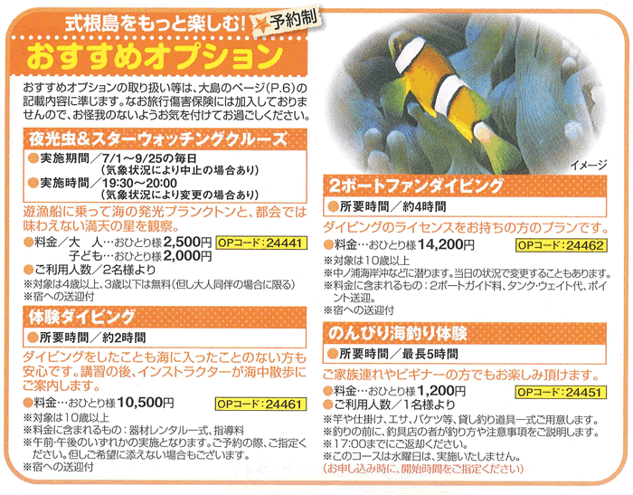 式根島オプション