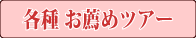 各種おすすめツアー