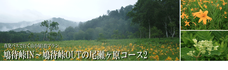 格安・激安 尾瀬ハイキング、尾瀬ツアー特集|日帰りプラン