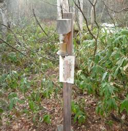 C:\Users\mana\Desktop\新しいフォルダ (3)\239.JPG