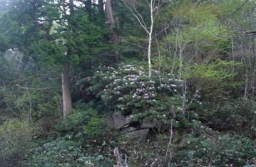 C:\Users\mana\Desktop\新しいフォルダ (3)\248.JPG