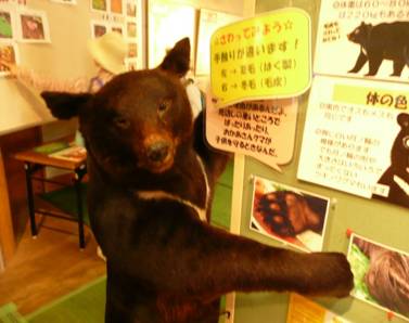 C:\Users\mana\Desktop\新しいフォルダ (3)\253.JPG