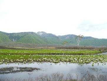 C:\Users\mana\Desktop\新しいフォルダ (3)\278.JPG