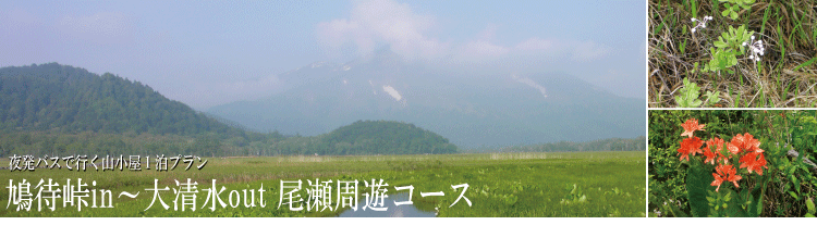 格安･激安 尾瀬ハイキング、尾瀬ツアー特集｜日帰りプラン