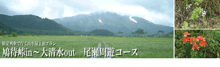 格安・激安 尾瀬ハイキング、尾瀬ツアー特集|JRプラン