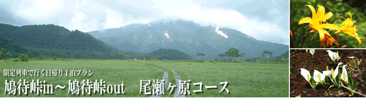 格安・激安 尾瀬ハイキング、尾瀬ツアー特集|JRプラン