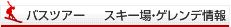 スキー場インフォメーション