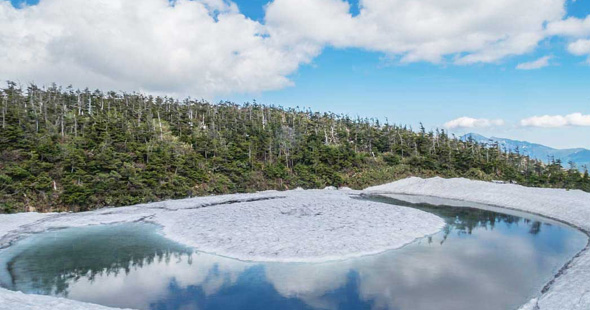身延山久遠寺 宿坊「窪之坊」宿泊参拝ツアー