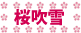 桜吹雪