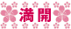 満開