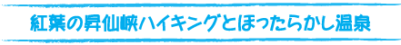 土浦花火ツアータイトル