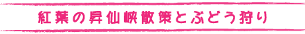 昇仙峡散策とぶどう狩りタイトル