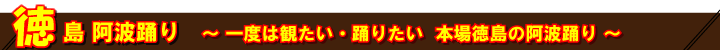 徳島阿波踊りツアー