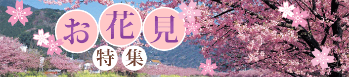 お花見ツアー特集