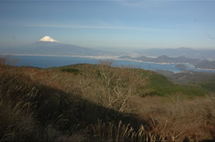 達磨山ハイキングツアーのイメージ
