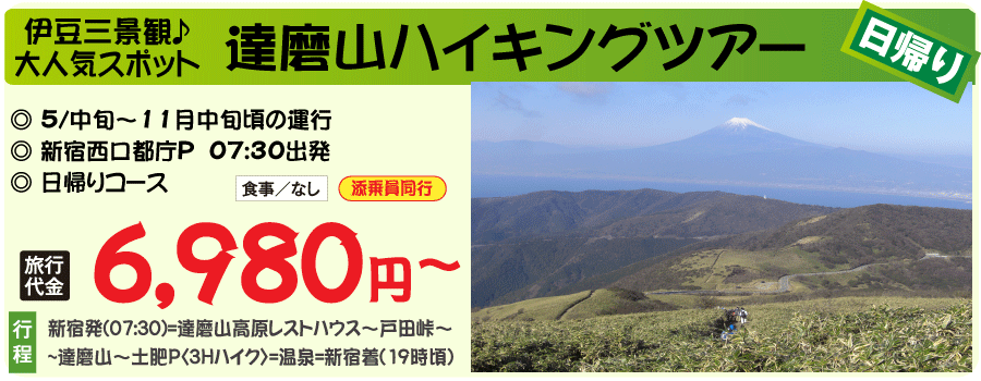 達磨山ハイキングツアー