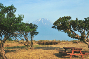 富士山ビュー　竜ヶ岳トレッキングツアーのイメージ2