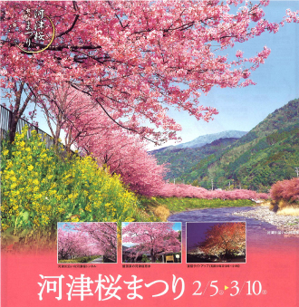 河津桜バスツアーのイメージ３