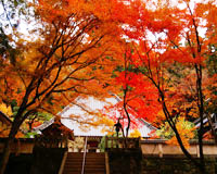 香嵐渓・香積寺（イメージ）