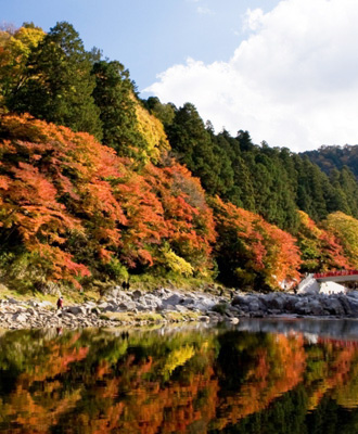 紅葉の香嵐渓と舘山寺温泉バスツアーのイメージ３
