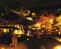 京都ライトアップ