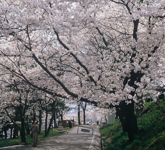 善光寺と松代城趾の桜バスツアーのイメージ３