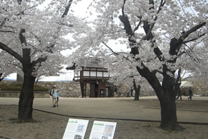 善光寺と松代城趾の桜バスツアーのイメージ2