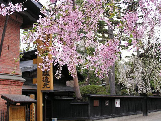角館の桜と武家屋敷（イメージ）