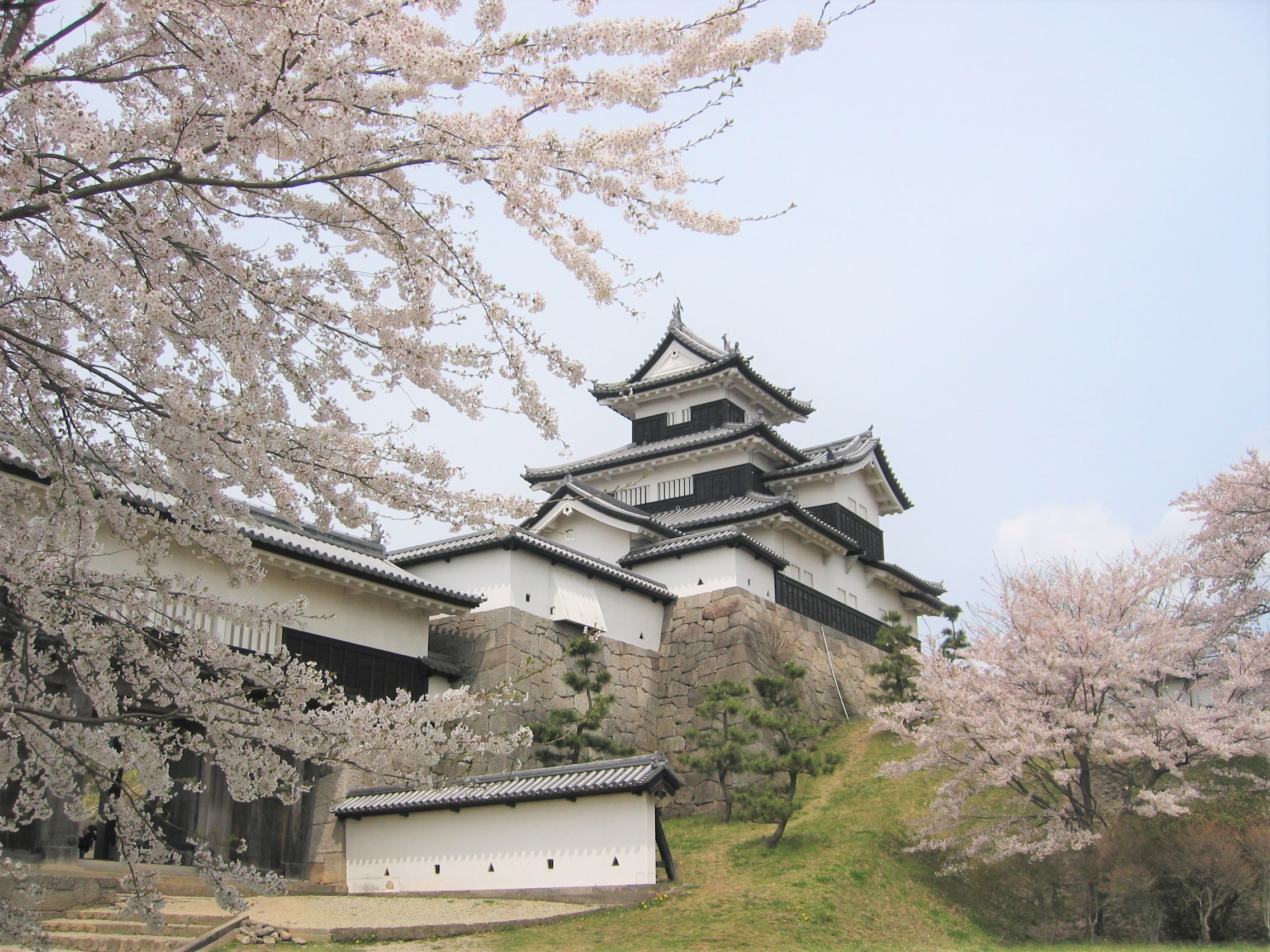 三春の滝桜バスツアーのおすすめポイント詳細