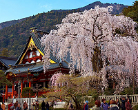 身延山久遠寺（イメージ）