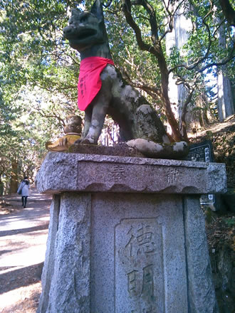 三峯神社の狛犬はオオカミです