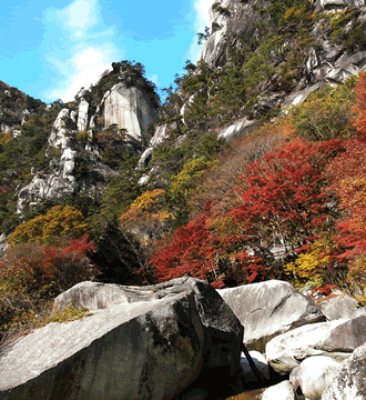 河口湖もみじ回廊と昇仙峡イメージ2