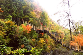 大柳川渓谷ハイキングとぶどう狩りのおすすめポイント