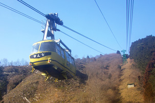 三十槌の氷柱と宝登山ロウバイバスツアーのイメージ2