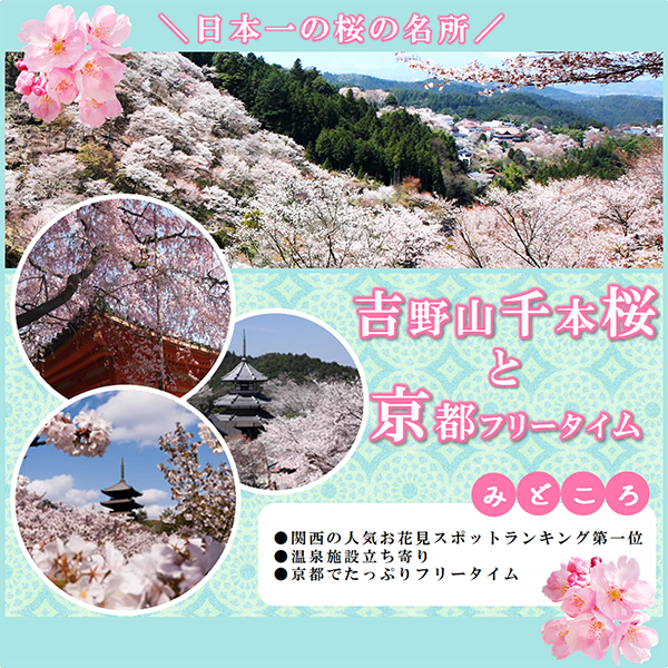 吉野山の千本桜と京都ぶらり散策バスツアー