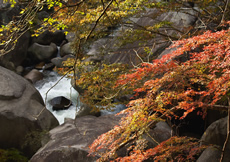 紅葉の昇仙峡ハイキング画像