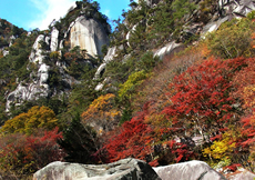 昇仙峡散策とぶどう狩り画像