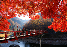 香嵐渓と舘山寺温泉画像