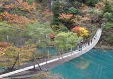 紅葉の寸又峡画像