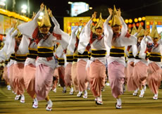 徳島阿波踊りツアー画像