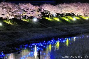 伊豆半島　桜と菜の花ウォーキング（添乗員同行/ガイド付き）バスツアーのイメージ2